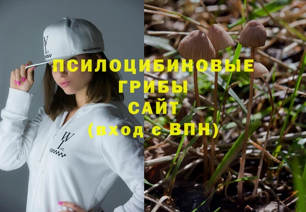 ешки Богданович