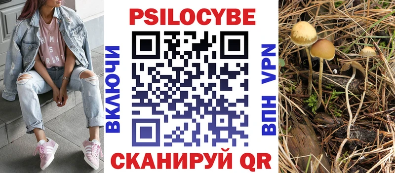 Псилоцибиновые грибы Cubensis  omg tor  Волосово  наркота 